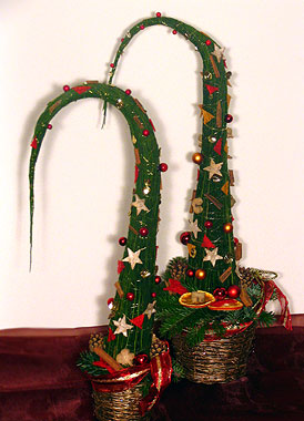 Orchidea ág Borban a vigasság - Finom vörösbor, elegáns díszdobozban, karácsonyias virágos díszítéssel