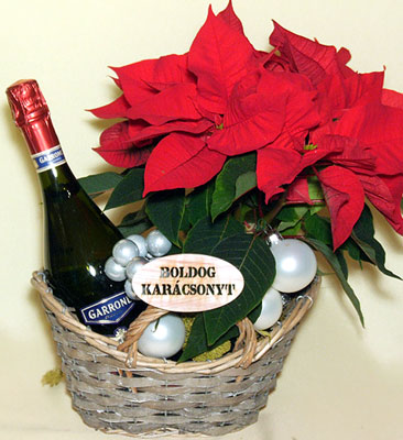 Orchidea ág Borban a vigasság - Finom vörösbor, elegáns díszdobozban, karácsonyias virágos díszítéssel