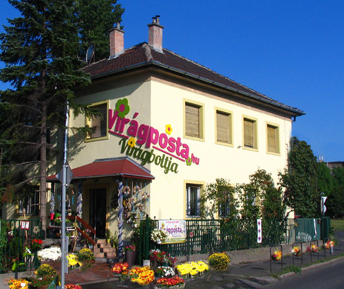 Virágbolt haz-dekorral-szerk-500-as.jpg