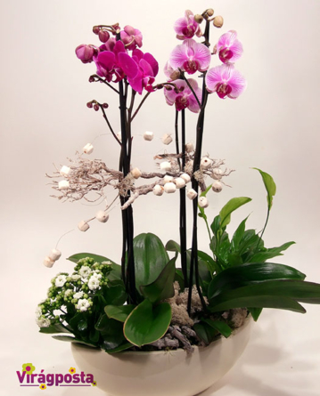 Virágposta - Orchideák különleges csónaktálban