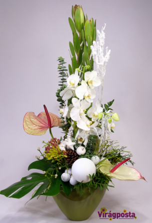 Virágposta - Virágtál fehér orchideákkal és anthuriummal - Karácsony fehérben